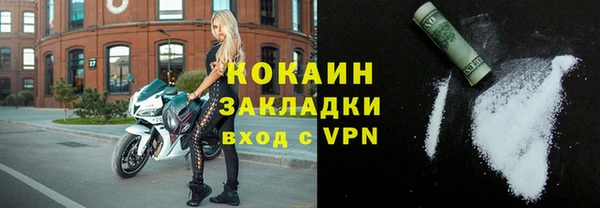круглые Гусев