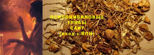 круглые Гусев