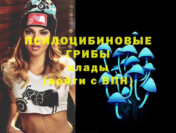 круглые Гусев