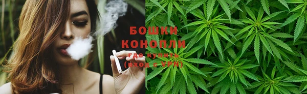 круглые Гусев