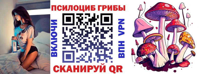 Купить  Новоржев  Псилоцибиновые грибы Cubensis 